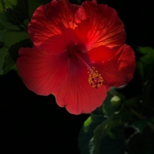 Meet your Posher, Christy